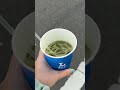 O chá verde da loja de conveniência vale a pena ?