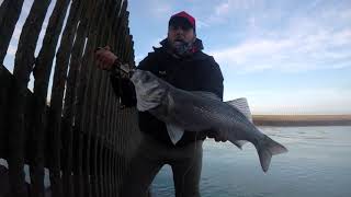 Big Loup Fishhh Leurre Souple Et Une Heure De Pêche