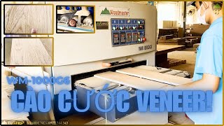 MÁY CÀO CƯỚC 6 TRỤC TRÊN MẶT VÁN PHỦ VENEER WOODMASTER WM-1000G6