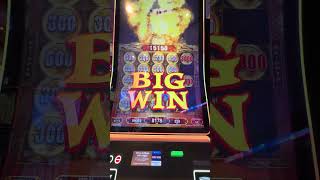 Crazy Stuffed Coins by Konami #oasisoftheseas #casino #royalcaribbean