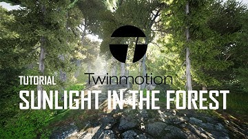 Rendering with Twinmotion 2020 - Tutorial Sunlight in the Forest #part3