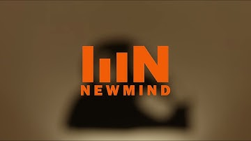 Values-Based Decision Making at Newmind