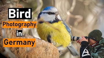Bird Photography with the Canon EOS R?!