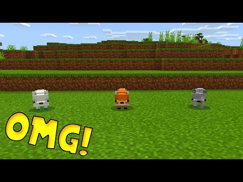 Come Spawn Volpi in Minecraft Pocket Edition!