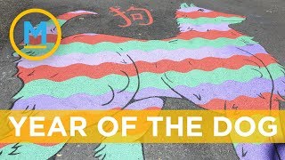 What to expect from your zodiac sign in the year of the dog | Your Morning