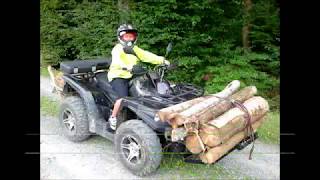 Holz holen mit ATV Triton Outback 400