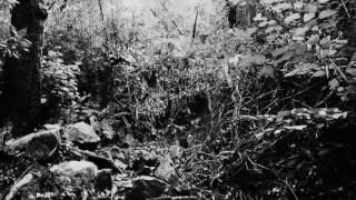 Empire of Hate - Sinister Dialect of History (Early Version)