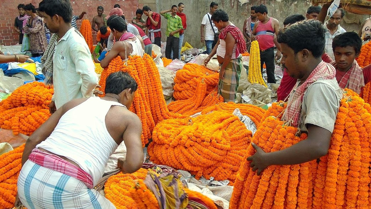 flower business in bangladesh List of top / best jute goods exporters companies in bangladesh - jute goods business directory,jute goods manufacturers, jute goods exporters, jute goods suppliers, bangladeshi jute goods business listings,bangladeshi jute goods manufacturers directory,bangladeshi jute goods suppliers marketplace. flower business in bangladesh List of top / best jute goods exporters companies in bangladesh - jute goods business directory,jute goods manufacturers, jute goods exporters, jute goods suppliers, bangladeshi jute goods business listings,bangladeshi jute goods manufacturers directory,bangladeshi jute goods suppliers marketplace.