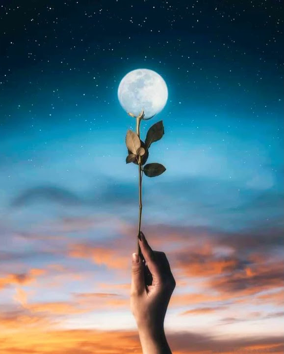 ting ting music status #trending