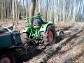 Deutz Bauernschlepper F2L612 mit Holzfuhre am Berg