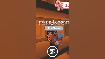 OPEN THE DOOR! | Advent Calendar DAY 7 in Adopt me! #adoptme