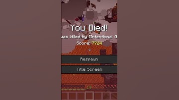 The Most STUPID Death in Minecraft....