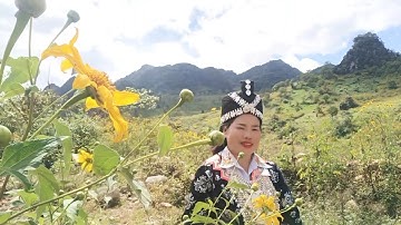 Wb txoj kev hlub tshuav zaj dab neeg lawm xwb.30/11/2025.