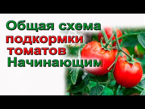 Видео: Что нужно для полной схемы?