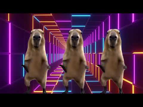Capybara Dancing #tropicalsummermusic