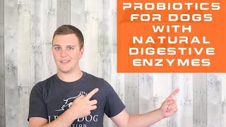 Natural Probiotics For Dogs | Finding A Probiotic For Dogs With Natural Digestive Enzymes