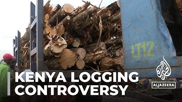 Alarm after Kenya gov’t lifts ban on commercial logging