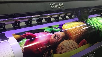 Mortina yinghe/ 1.6m 1.8m 6ft W series eco solvent printer/large format printer