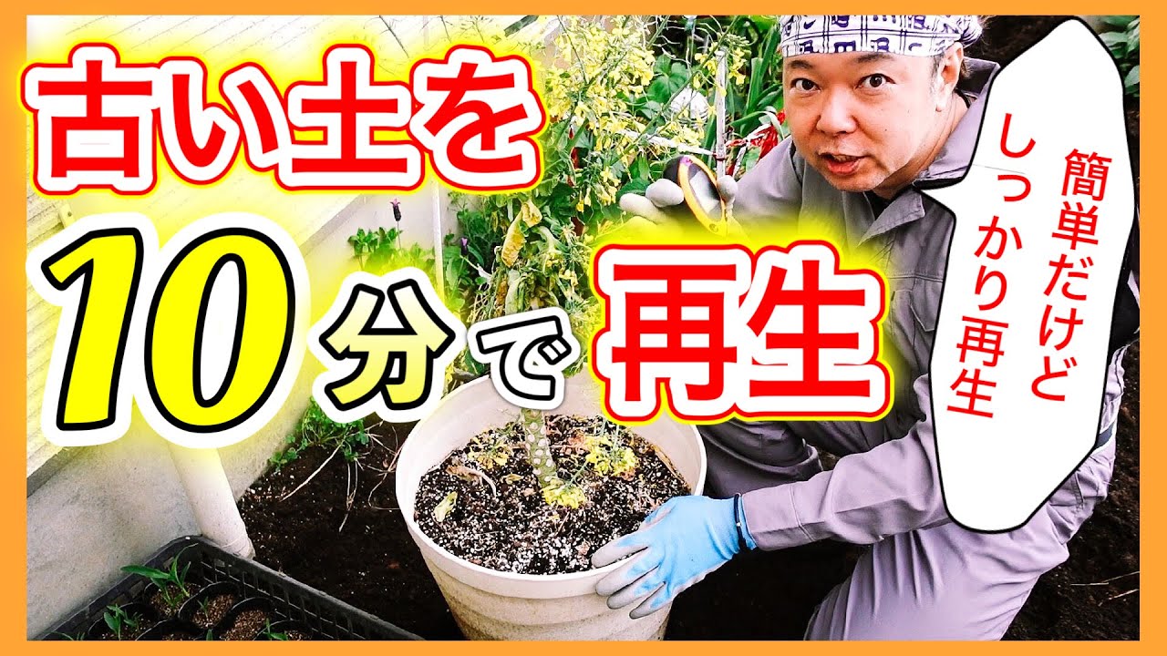 10分で土を再生 プランターの古い土を簡単に再生する方法 狭い庭で家庭菜園 Youtube 10分で土を再生 プランターの古い土を簡単に再生する方法 狭い庭で家庭菜園 Youtube
