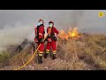 FOUR BRITS among ELEVEN KILLED as firefighters battle DEADLY wildfires RAGING in Southern Spain