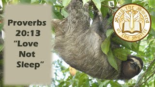 Proverbs 20:13 Love not sleep, KJV singalong w lyrics, key of C