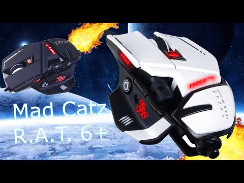 Video: Kā Mad Catz Izmantoja Savu Pēdējo Dzīvi