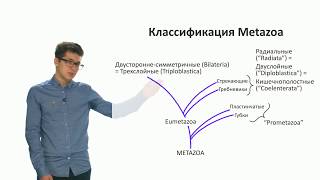 Зоология беспозвоночных. Разнообразие беспозвоночных. Часть 1 (Виноградов Д. Д.)