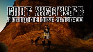 Жемчужина Западного моря Как связать узлы Black Desert гайды
