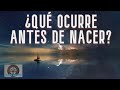 ¿QUÉ OCURRE ANTES DE NACER?¿ELEGIMOS NUESTRA VIDA ANTES DE NACER?