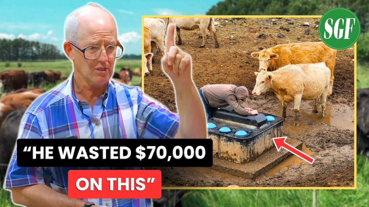 Эксперт по крупному рогатому скоту: советы по управлению водными ресурсами стада - Грег Джуди