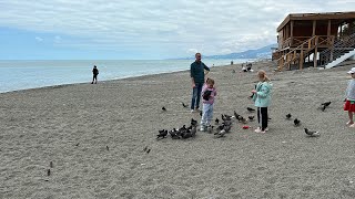 Сочи / Гастелло / Пляж 🏝️ Огонёк / Улица Мира / Адлер