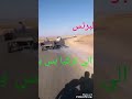 محمد الشيخ