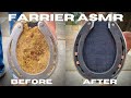 Very satisfying  hoof restoration  farrier asmr