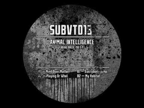 Animal Intelligence — Animal Intelligence - Untitled