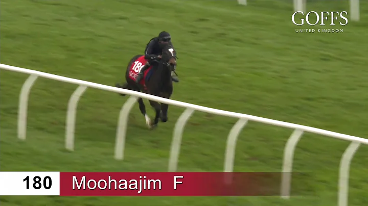 Goffs UK Breeze Up Sale 2018 - Lot 180