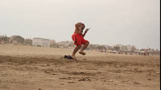 best yazid beach b twist hyper hook