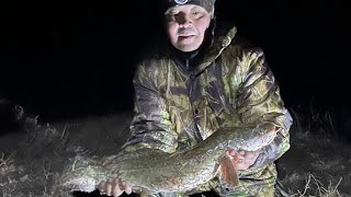 видео: Наконец-то Нура ощасливила нас НАЛИМОМ!!!!!! картинка: Наконец-то Нура ощасливила нас НАЛИМОМ!!!!!!