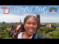 University of Florida Campus Tour from a UF Student Perspective