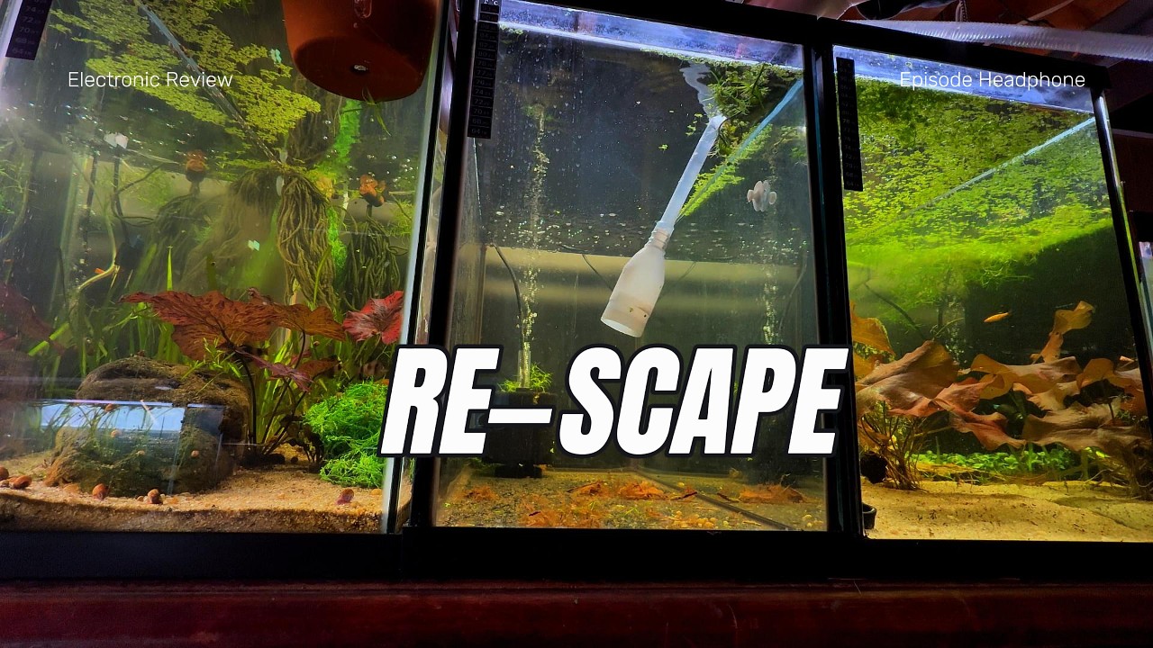 30 Gallon Planted Tank Re-scape!