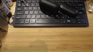 2019年最後の動画