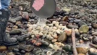 Capítulo 1 - Pulmay Isla Mechuque