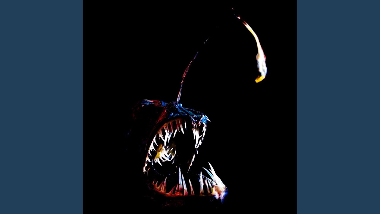 Guarda Midnight Zone su YouTube Guarda Midnight Zone su YouTube