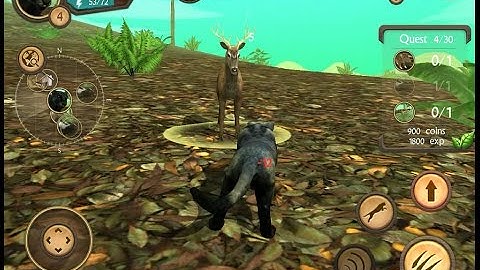 Wild Panther Sim 3D - Rainforest RPG Adventure iOS Gameplay - Part 1