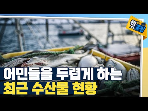 [핫클립] 몸소 느끼고 있는 식량 위기 상황 / YTN 사이언스