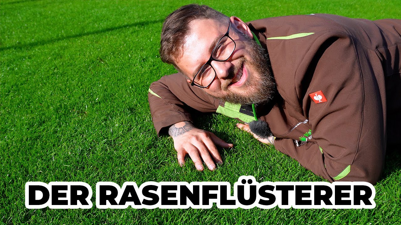 Rasenpflege im Frühjahr: Das Ergebnis, ein grüner Traumrasen