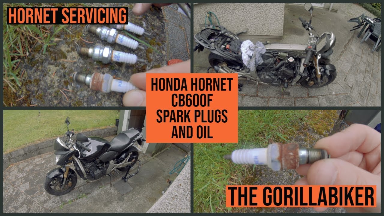 Honda CB600F Hornet Spark Plugs and Oil Change | The GorillaBiker