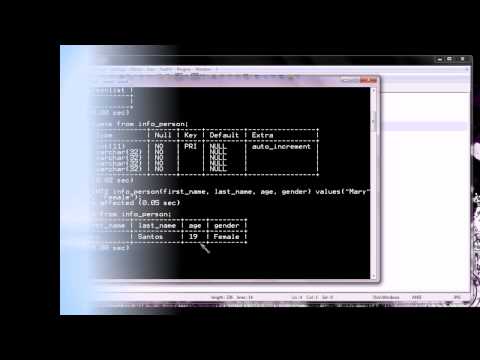 Simple MySQL statements (part 1).avi