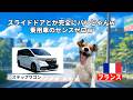 【ミニバンの魅力】日本のミニバンがヨーロッパで選ばれる理由#猫マニ #猫ミーム