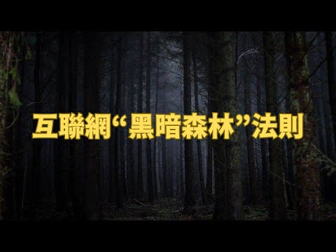 互联网“黑暗森林”法则！面对人工智能，人类准备好了吗？（我们一起聊科学：20240316 第40期）