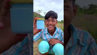 Hair Cat With Shampoo